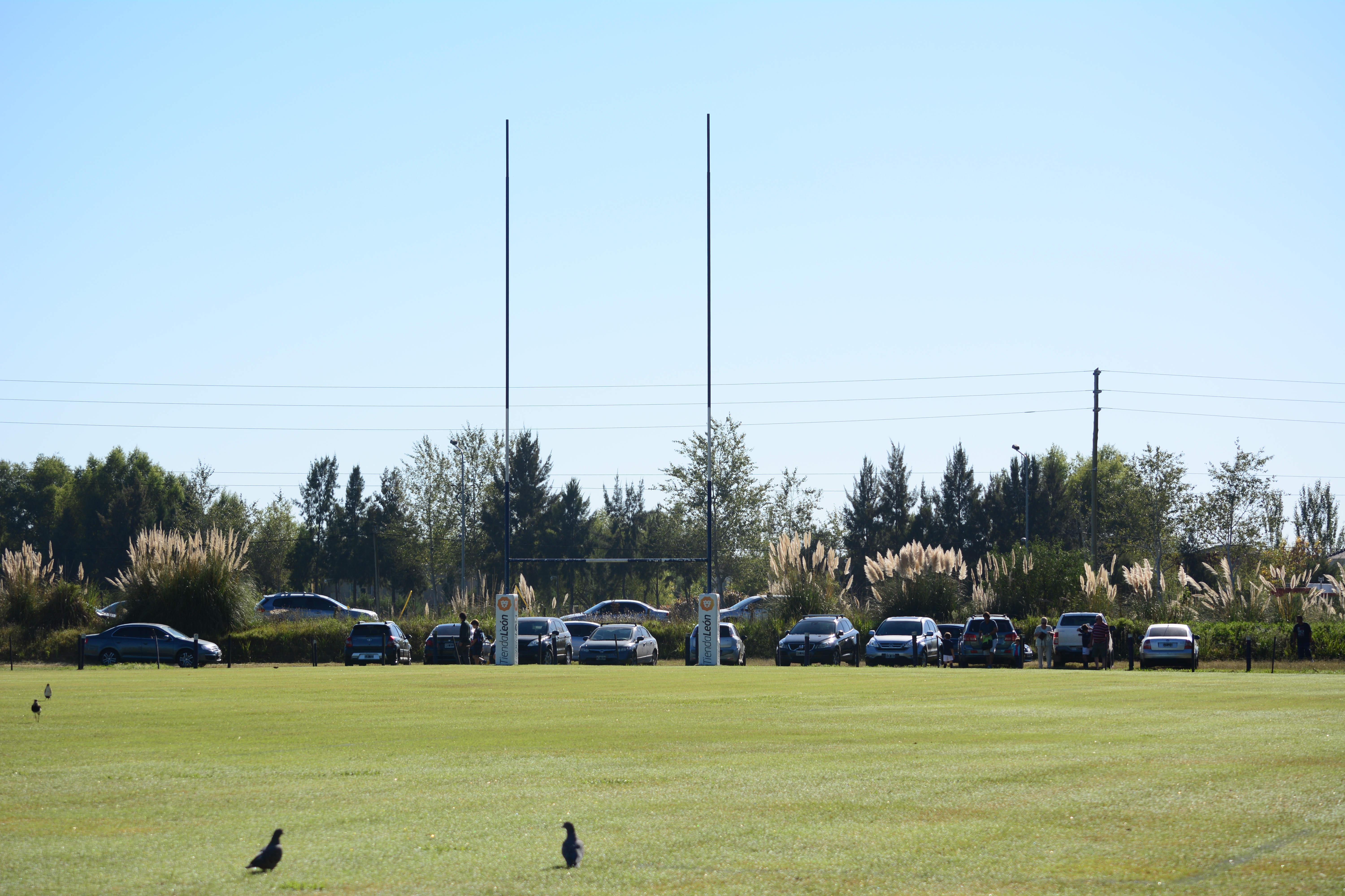 Rugby